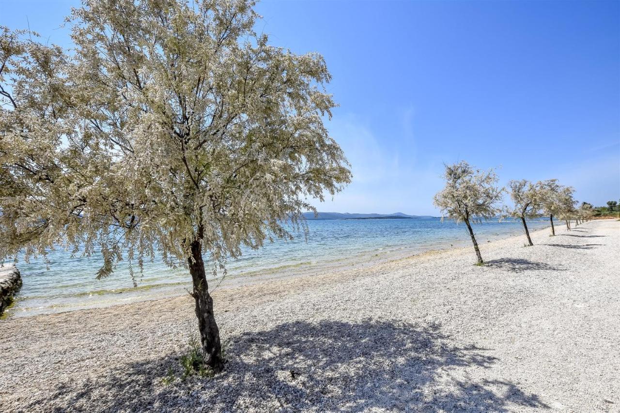 Mobile Home Dandelion Biograd Na Moru Luaran gambar